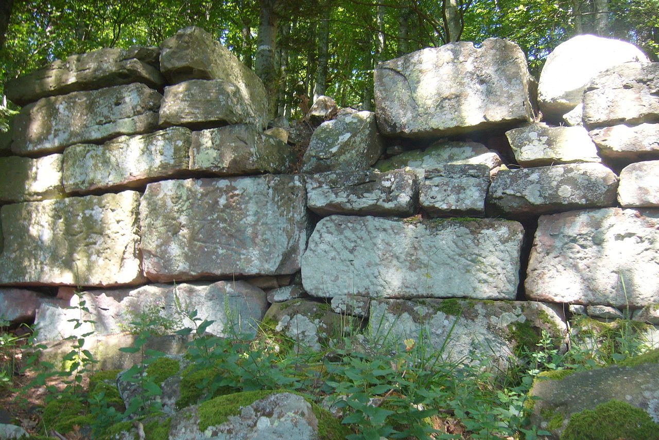 Enceinte protohistorique du Château du Frankenbourg